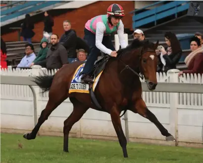  ??  ?? EASY GALLOP. Made To Conquer, with big-race jockey Jeff Lloyd in the irons, is not put under too much pressure during yesterday’s public gallops for the R4.25-million Vodacom Durban July at Greyville on Saturday 7 July. See Page 8.