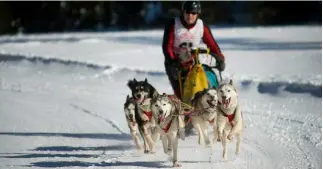  ?? TI-PRESS ?? Sabato e domenica la 14esima edizione del Musher Trophy