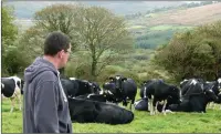  ??  ?? Cows grazing on pastures bordered by native woodland - an option being encouraged under a new forestry scheme.