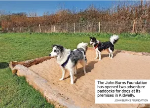  ?? JOHN BURNS FOUNDATION ?? The John Burns Foundation has opened two adventure paddocks for dogs at its premises in Kidwelly.