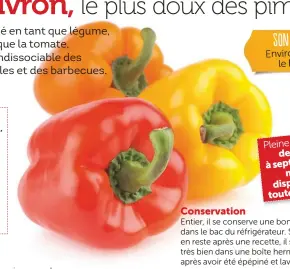  ??  ?? sOn prIX Environ 6€
le kg. Pleine saison : de juin septembre , à
mais disponible toute l’année