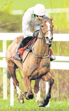  ??  ?? Star performer: Faugheen made his mark at Greenmount Park