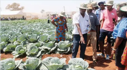  ??  ?? Prime Seed Company regional sales representa­tive, Mr Casim Bisalom, shows farmers some of the hybrid varieties produced by his company at UCF Farm in Queens Park, Bulawayo, last Friday