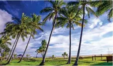  ??  ?? IDYLLIC: The palm-fringed beaches of Tangalooma Island Resort.