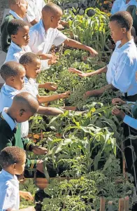  ??  ?? CULTIVATIN­G THE FUTURE: Khanyisa School for the Blind pupils hard at work in their school food garden