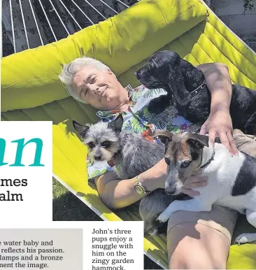  ??  ?? John’s three pups enjoy a snuggle with him on the zingy garden hammock.