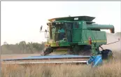  ?? SUBMITTED ?? Nicholas Moore drives a combine through a field of wheat at 3 Brothers Farm. The Moore brothers raise cattle and row crops.