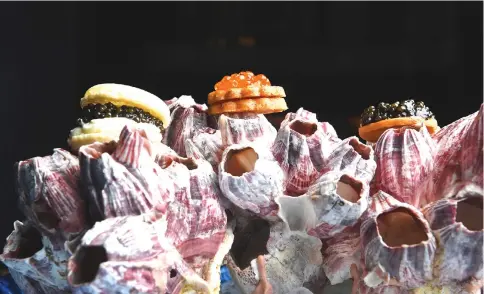  ??  ?? Caviar Cookies are served on barnacles at Siren restaurant in Washington, D.C.’s Darcy Hotel. — Photo for The Washington Post by Katherine Frey.