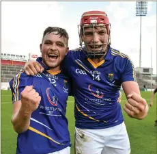  ??  ?? Wicklow’s Padraig Doran, left, and Padraig Doyle, celebrate after victory over Meath in the All-Ireland under-21 B final of 2015.