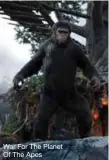  ??  ?? War For The Planet Of The Apes