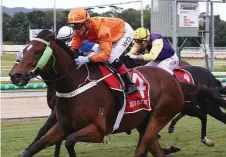  ?? Picture: BRENDAN RADKE ?? WINNING FORM: Centro Superior is one of the horses belonging to a syndicate of remote owners.