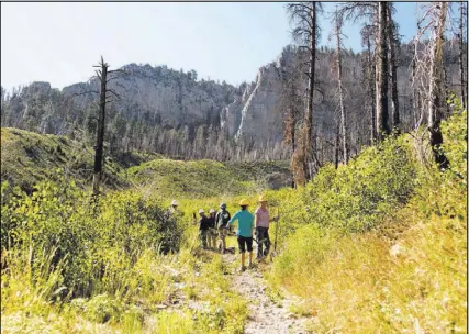  ?? PHOTOS by ELIZABETH BRUMLEY/LAS VEGAS REVIEW-JOURNAL FOLLOW @ELIPAGEPHO­TO ?? Crews from Great Basin Institute and volunteers from Friends of Nevada Wilderness work Saturday on the South Loop Trail of Mount Charleston, which has been closed since the Carpenter 1 Fire in July 2013.