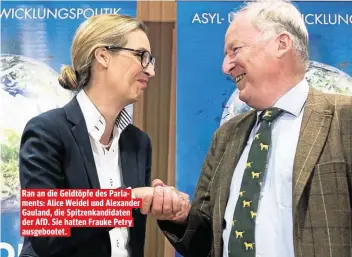  ??  ?? Ran an die Geldtöpfe des Parlaments: Alice Weidel und Alexander Gauland, die Spitzenkan­didaten der AfD. Sie hatten Frauke Petry ausgeboote­t.