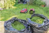  ?? MagicBones/Shuttersto­ck ?? Don’t throw those clippings in the trash when you catch the grass while mowing the lawn. Instead, spread grass clippings around plants to repel weeds.