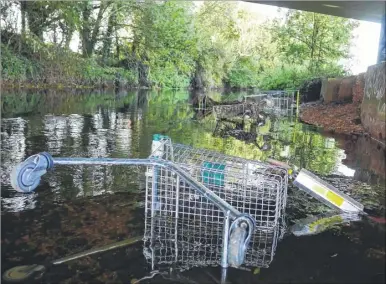  ??  ?? Shopping trolleys under the A2 bridge at Hambrook Marshes