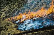  ?? ASSOCIATED PRESS ?? Firefighte­rs control the Tollgate Canyon fire as it burns near Wanship, Utah, in 2018. The Bureau of Land Management has announced plans to fund 11,000 miles of fuel breaks in six states.