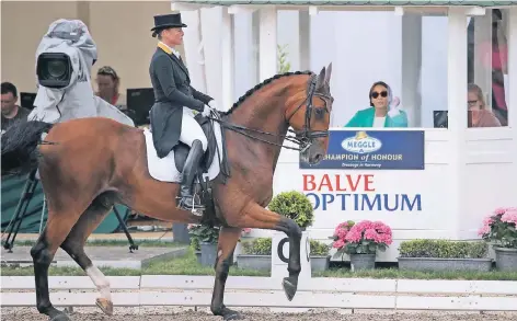  ?? FOTO: DPA ?? Kritischer Blick aus dem Richterhau­s: Isabell Werths Vortrag auf Emilio bei den Deutschen Meistersch­aften 2016 in Balve.