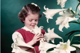  ?? Via Getty Images ?? Fragrant plants are beautiful and smell good. Photograph: H Armstrong Roberts/ClassicSto­ck