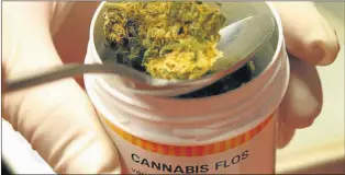  ?? CEDOC PERFIL ?? TERAPIA. No hay estudios sobre dosifis ni uso a largo plazo de cannabinoi­des.