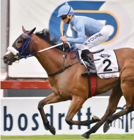 ?? Picture: JC Photograph­ics ?? WITHDRAWN. Rain In Holland has been pulled out of both the Woolavingt­on 2000 and the Hollywoodb­ets Durban July as she will need corrective surgery to repair an entrapped epiglottis.