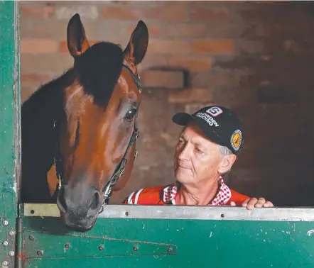  ??  ?? Trainer Peter Snowden with Pride Of Dubai, his 2015 Blue Diamond Stakes winner.