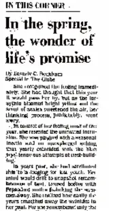  ?? ?? A portion of Page 1 of the Boston Globe on May 15, 1980.