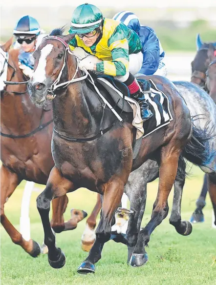  ?? Picture: AAP IMAGE ?? Jockey Jeff Lloyd rides Care To Think to win at Class 6 level at Doomben on December 16.