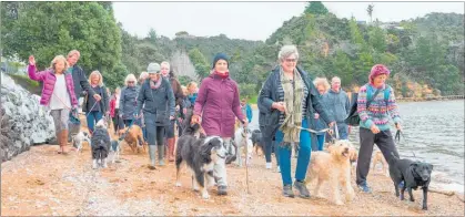  ?? PICTURE / RUTH LAWTON ?? Dog owners took to the Opua waterfront last year in protest at an earlier version of the Far North District Council’s dog bylaw.