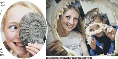  ??  ?? Logan Tomlinson view sharks jaw bones 164018c