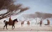  ?? Photo/ ?? Misk Foundation also released a video clip, ‘Rasimeen Auloumana,’ which takes viewers on an imagined journey by the nation’s founder. Supplied