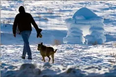  ?? @IMartensHe­rald Herald photo by Ian Martens ?? A dog walker passes a snow sculpture Wednesday afternoon at the dog walk. Pet owners are being reminded to consider how the frigid cold affects their furry friends.