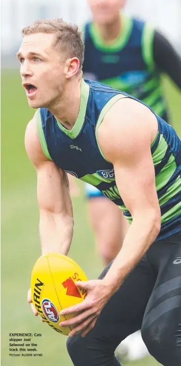  ?? Picture: ALISON WYND ?? EXPERIENCE: Cats skipper Joel Selwood on the track this week.