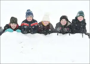  ??  ?? Enjoying the fun in the snow at Deer Park, Millstreet were Eugene Crowley, Meabh Crowley, Stephen Lyons, Holly Sheehan and Ciara O’Connor. Picture John Tarrant