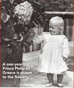  ??  ?? A one-year-old Prince Philip of Greece is drawn to the flowers. FROM BEAUTIFUL BOY TO PRINCE CHARMING