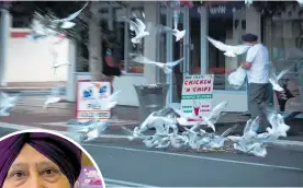  ?? Photo / Patrick O’Sullivan ?? Talwinder Singh Kular (inset) has been feeding birds outside his takeaway shop, attracting a flock of rare black-billed seagulls.