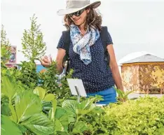  ?? Foto: Silvia Gralla ?? Exotische Kräuter, Früchte und Schoten lassen das Herz der Hobbygärtn­er höher schlagen. Eine Gartenscha­u für alle Sinne.