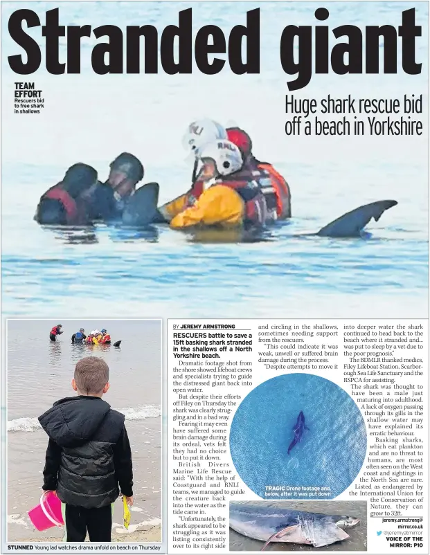  ??  ?? TEAM EFFORT Rescuers bid to free shark in shallows
STUNNED
TRAGIC