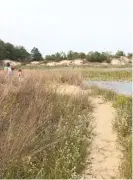  ?? BRETT CHASE/ SUN- TIMES ?? The Indiana Dunes features great trails for hiking.