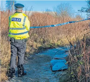  ?? Picture: Steven Brown. ?? Police at the scene of the alleged sexual assault.