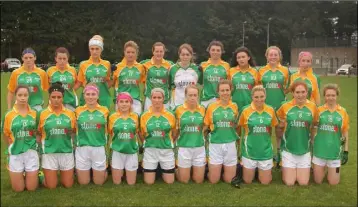  ??  ?? The Clonee team who lost out to Shelmalier in the Wexford Senior county final.