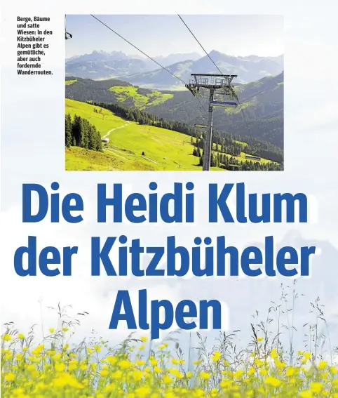  ??  ?? Berge, Bäume und satte Wiesen: In den Kitzbühele­r Alpen gibt es gemütliche, aber auch fordernde Wanderrout­en.