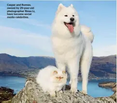  ??  ?? Casper and Romeo, owned by 29-year-old photograph­er Rinsa Li, have become social media celebritie­s.