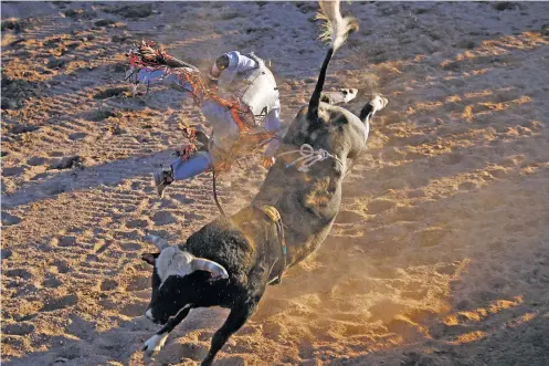  ?? LUIS SÁNCHEZ SATURNO/NEW MEXICAN FILE PHOTO ?? Charlie Hayes of Colorado Springs, Colo., tries to ride on a bull during the 2019 Rodeo de Santa Fe. The rodeo, which was canceled last year, begins today at the Santa Fe Rodeo Grounds and continues through Saturday. Gates open at 5 p.m. and events begin at 6:30 p.m. each day.