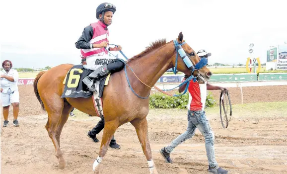  ?? ANTHONY MINOTT/PHOTOGRAPH­ER ?? DODGE THIS LINK, with Raddesh Roman aboard, enters the winners’ enclosure after capturing the fifth race at Caymanas Park on Sunday, January 28, 2024.