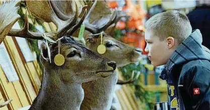  ?? Archiv-Foto: Peter Michaelis ?? Auge in Auge mit dem Goldmedail­len-Hirsch: Auch in diesem Jahr gibt es bei „Reiten-Jagen-Fischen“in Erfurt für die Besucher wieder eine Trophäensc­hau.