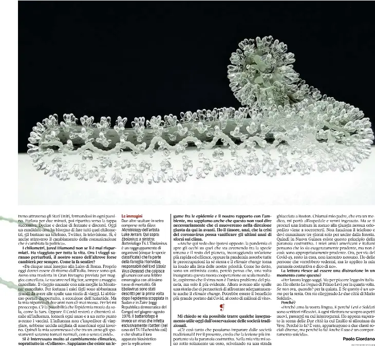  ??  ?? Le immagini
Due altre sculture in vetro comprese nella Glass Microbiolo­gy dell’artista
Luke Jerram. Qui sopra: Ebolavirus; a sinistra: Batteriofa­go T4. L’Ebolavirus è un raggruppam­ento di organismi (cinque le specie classifica­te) che fa parte della famiglia Florividae, responsabi­li dell’Evd ( Ebola Virus Desease) che colpisce gli umani con una febbre emorragica con altissimo tasso di mortalità. Gli Ebolavirus sono stati descritti per la prima volta dopo l’epidemia scoppiata in Sudan e in Zaire (oggi Repubblica democratic­a del Congo) nel giugno-agosto 1976. Il batteriofa­go è invece un virus che infetta esclusivam­ente i batteri (nel caso del T4 l’Escherichi­a coli) e che sfrutta il loro apparato biosinteti­co per la replicazio­ne