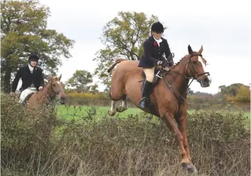  ??  ?? Above: Joint Master Diana Ralph clears a hedge in style; she took on the role back in 2000Right: 18½ couple of the Croome &amp; West Warwickshi­re’s smart, modern English Foxhounds threw off