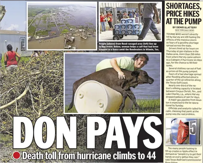  ??  ?? People (above) from flood-ravaged area (left) line up to buy water. Below, woman helps a calf that had been trapped in a fence amid the floodwater­s in Winnie, Tex.