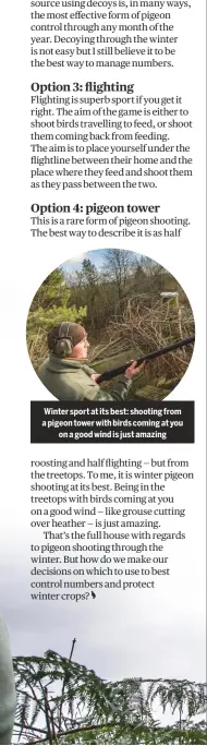  ??  ?? Winter sport at its best: shooting from a pigeon tower with birds coming at youon a good wind is just amazing