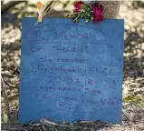  ?? PHOTO: DAVID UNWIN/STUFF ?? A plaque has been placed under a tree in the Kelvin Grove cemetery for a rooster the council killed as part of a cull when numbers got out of hand.